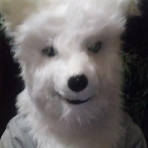 Meet your Posher, Cameron